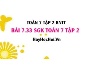 Bài 7.33 SGK Toán 7 tập 2 Kết nối tri thức